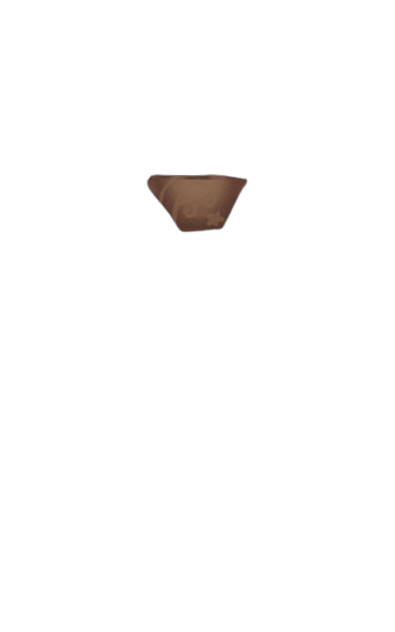 Vaso